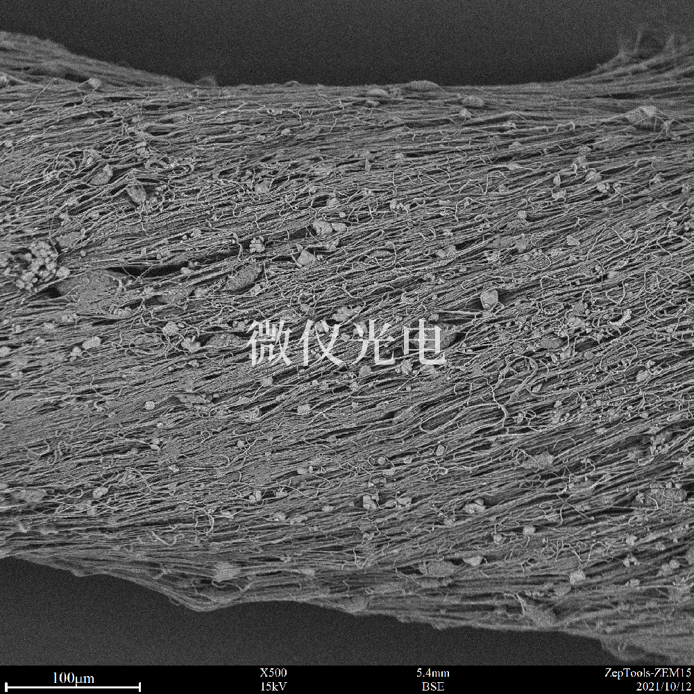 掃描電鏡應(yīng)用領(lǐng)域介紹和使用掃描電鏡時(shí)圖像質(zhì)量差改善的方法有哪些？