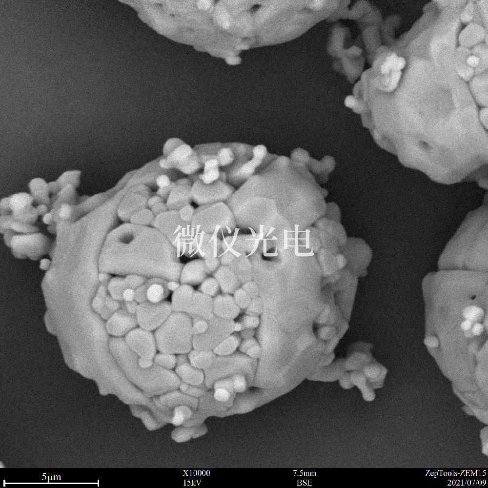臺式掃描電鏡與傳統(tǒng)落地式掃描電鏡有什么區(qū)別呢？