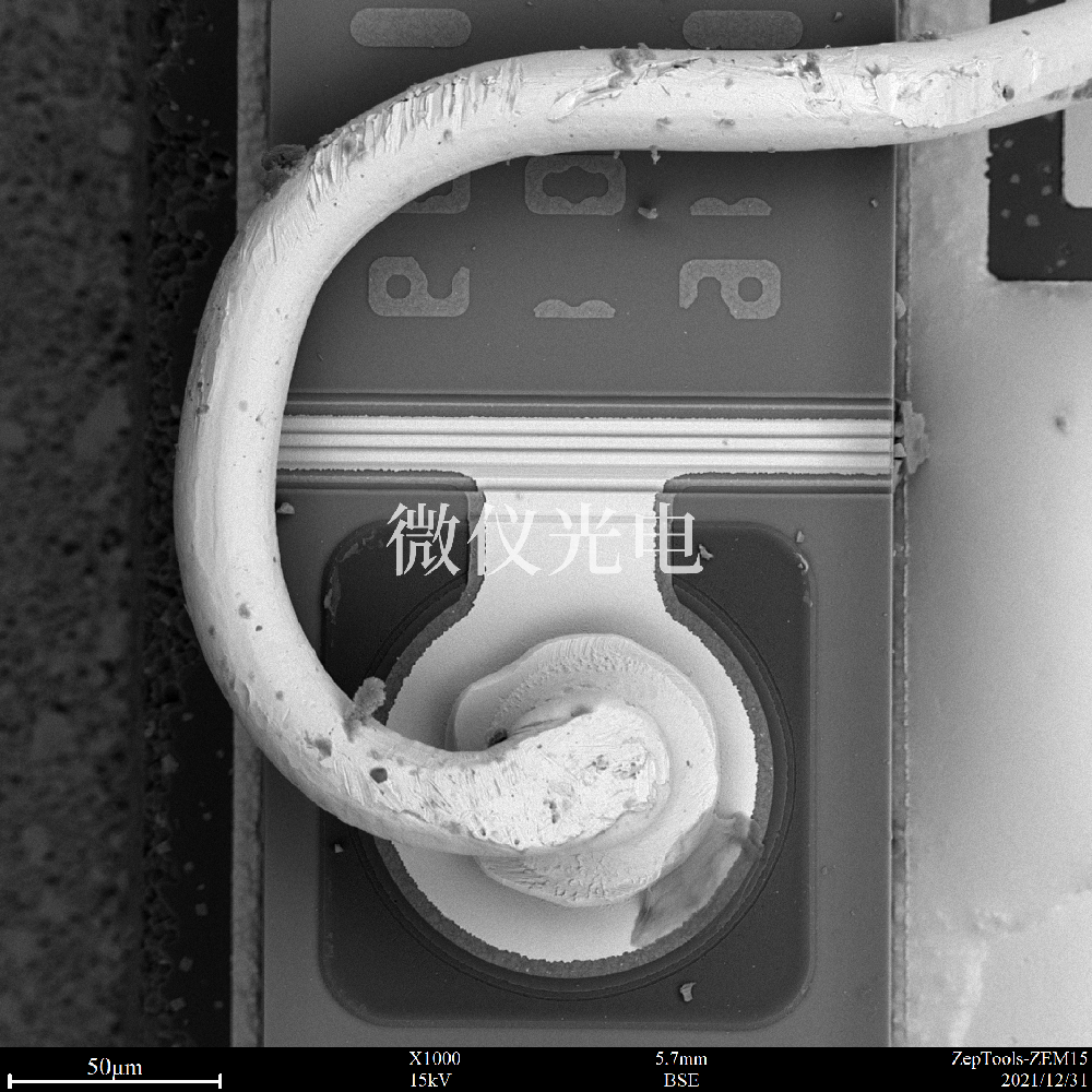 臺(tái)式掃描電鏡的應(yīng)用范圍有多廣？看完下面文章的介紹你就知道了