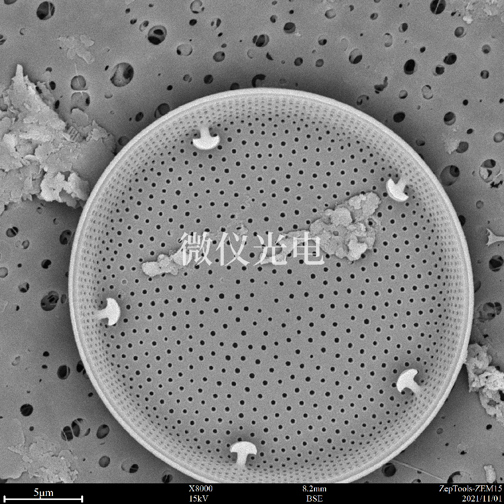 臺(tái)式掃描電鏡觀察樣品要求的干燥的方法有幾種？