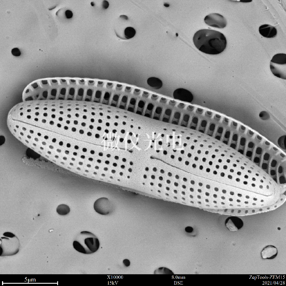 sem臺(tái)式掃描電鏡在司法鑒定行業(yè)的應(yīng)用是這樣的，你之前了解嗎？