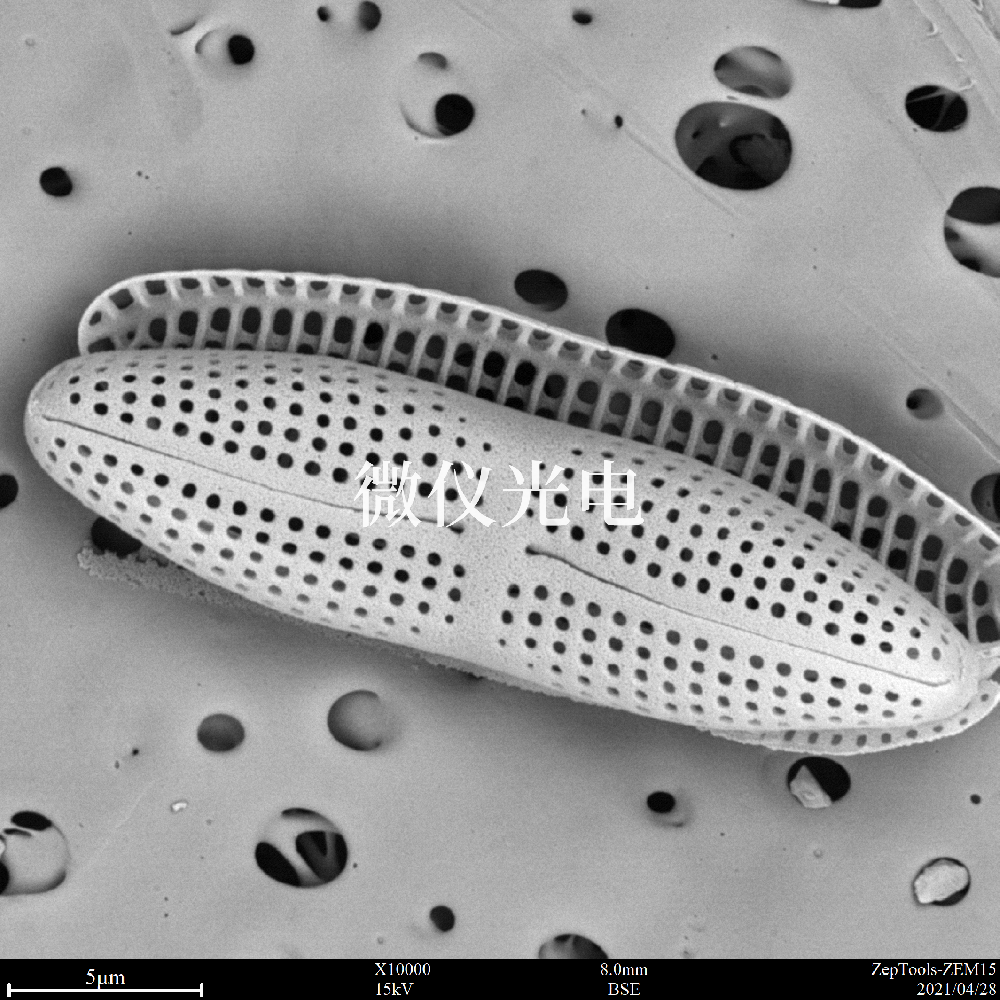 掃描電子顯微鏡的類(lèi)型有這些你之前了解過(guò)嗎？
